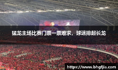 猛龙主场比赛门票一票难求，球迷排起长龙