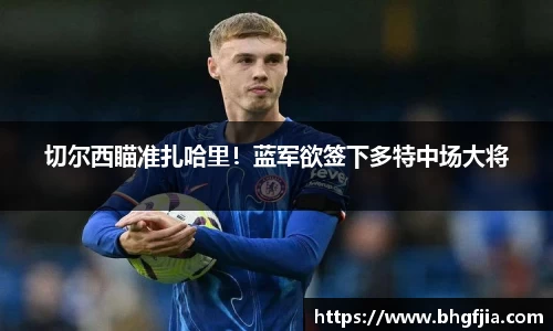 切尔西瞄准扎哈里！蓝军欲签下多特中场大将